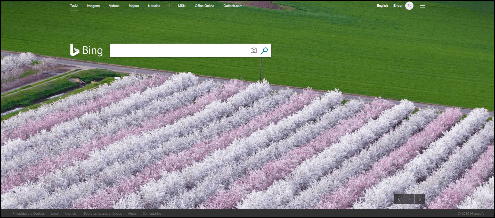 Bing (Microsoft)